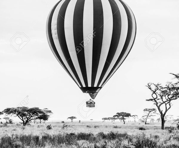 Photoshop Tutorial Project