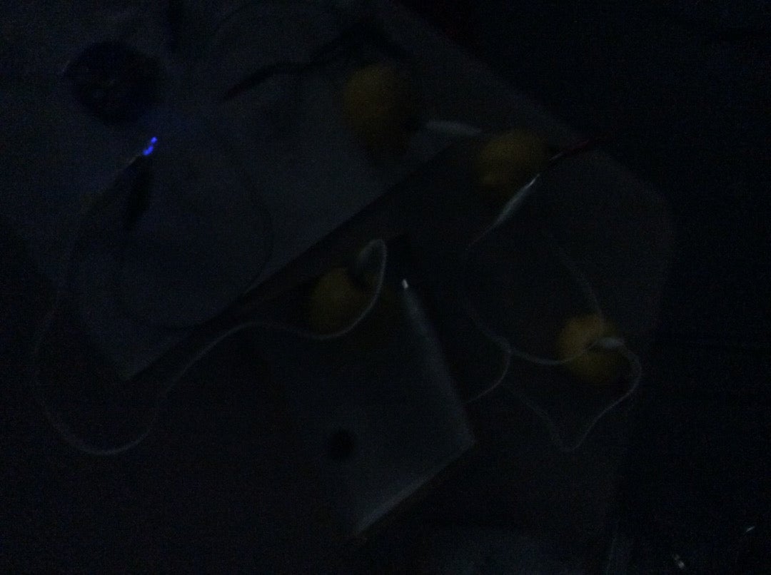 Connect Alligator Clips From First and Last Lemon to LED.