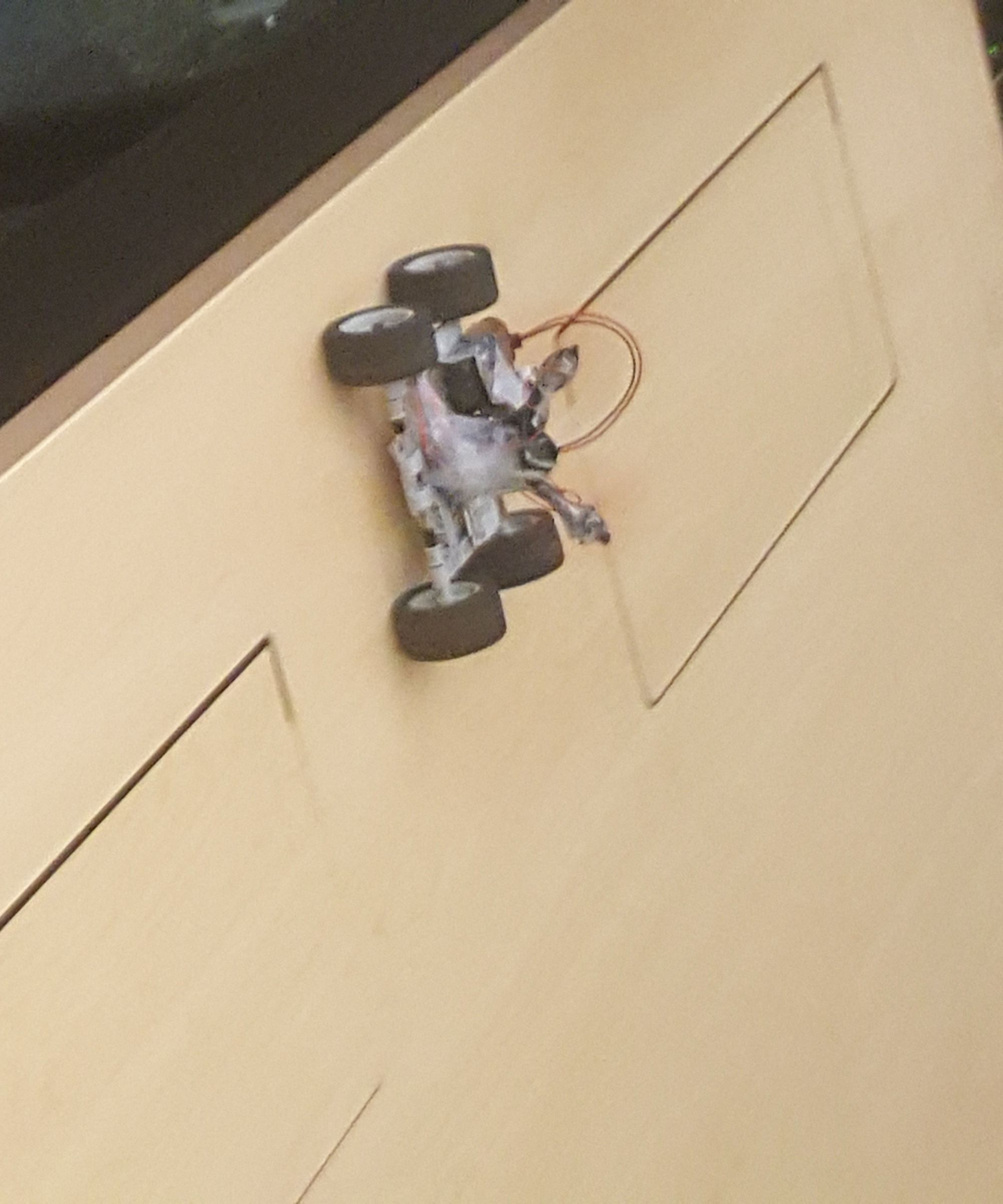 Self Driving Car