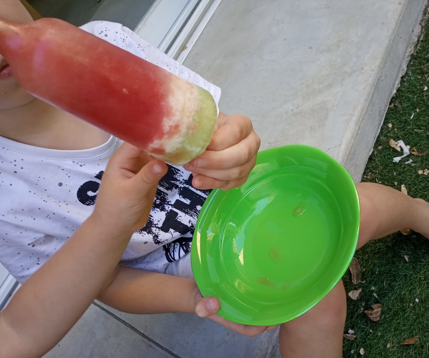 Watermelon Summer Treat 