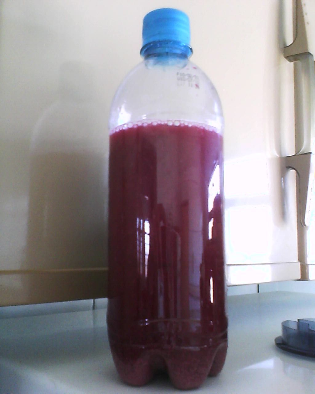 Beetroot Beer