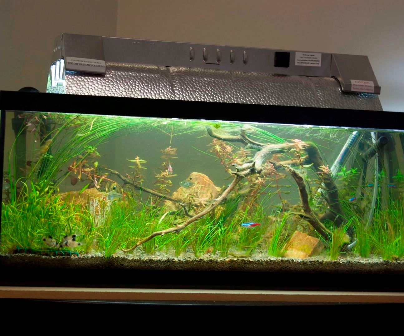 No Silicone DIY Yeast CO2 Reactor and Diffuser for Planted Aquariums