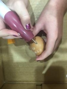Lettering on the Egg