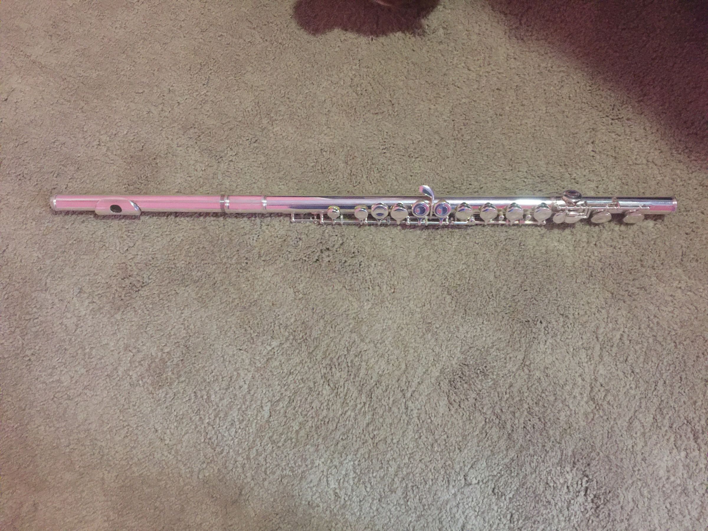 Beethoven's 9th on Flute ( Not for BEGINNERS)