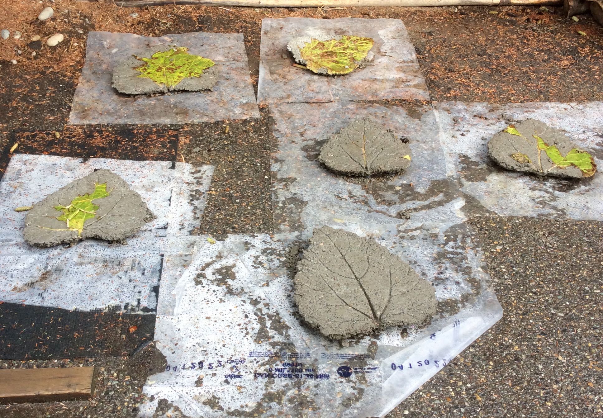 Rhubarb Leaf Stepping Stones 3 Steps (with Pictures) Instructables