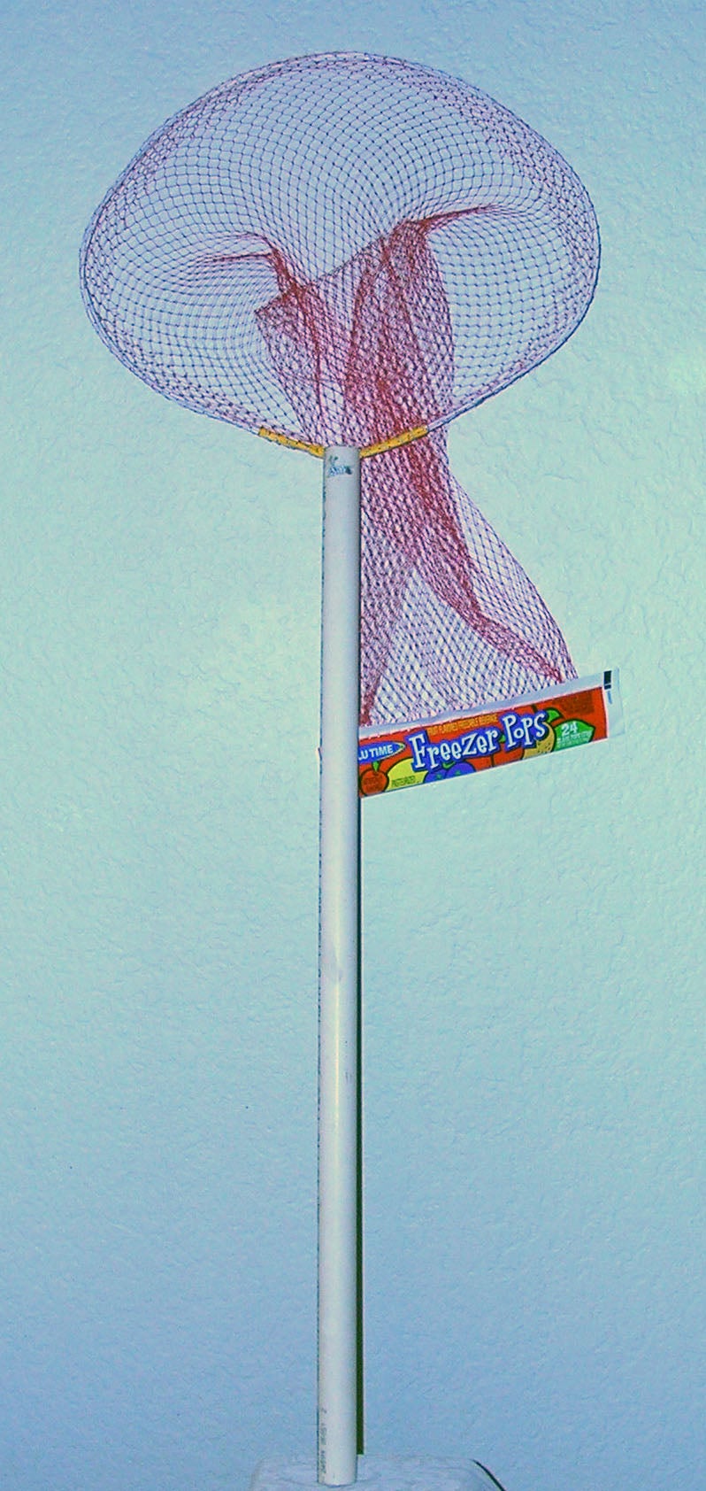 Minnow Net From a Freezer Pop Net Bag (Crawdad/Crawfish Too!)