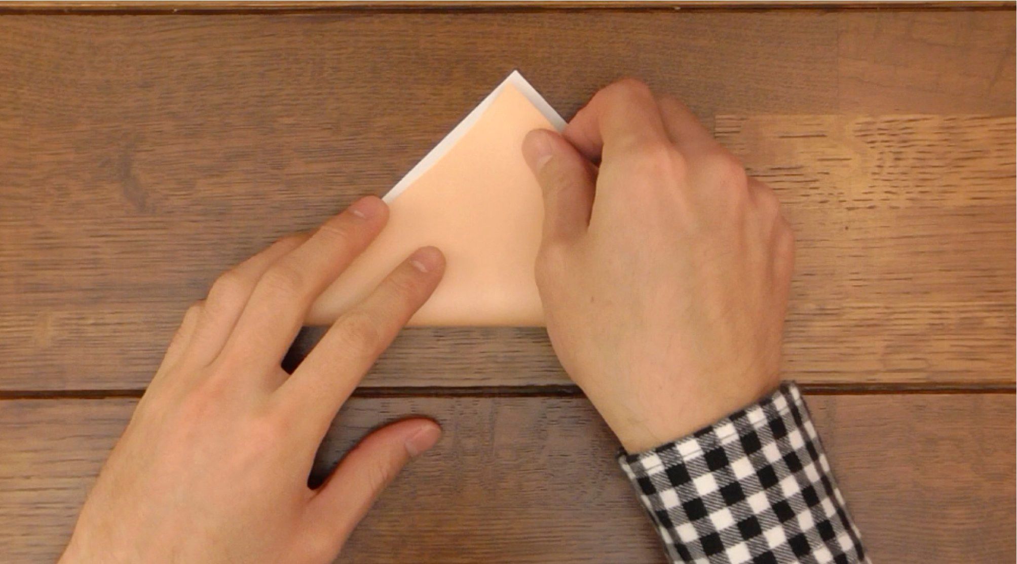 How to Make Head Nod in Dogs! 15 Steps (with Pictures) Instructables