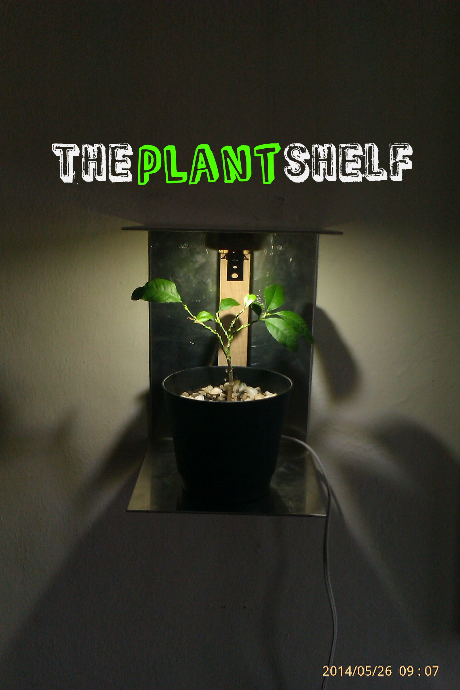 The Plant Shelf