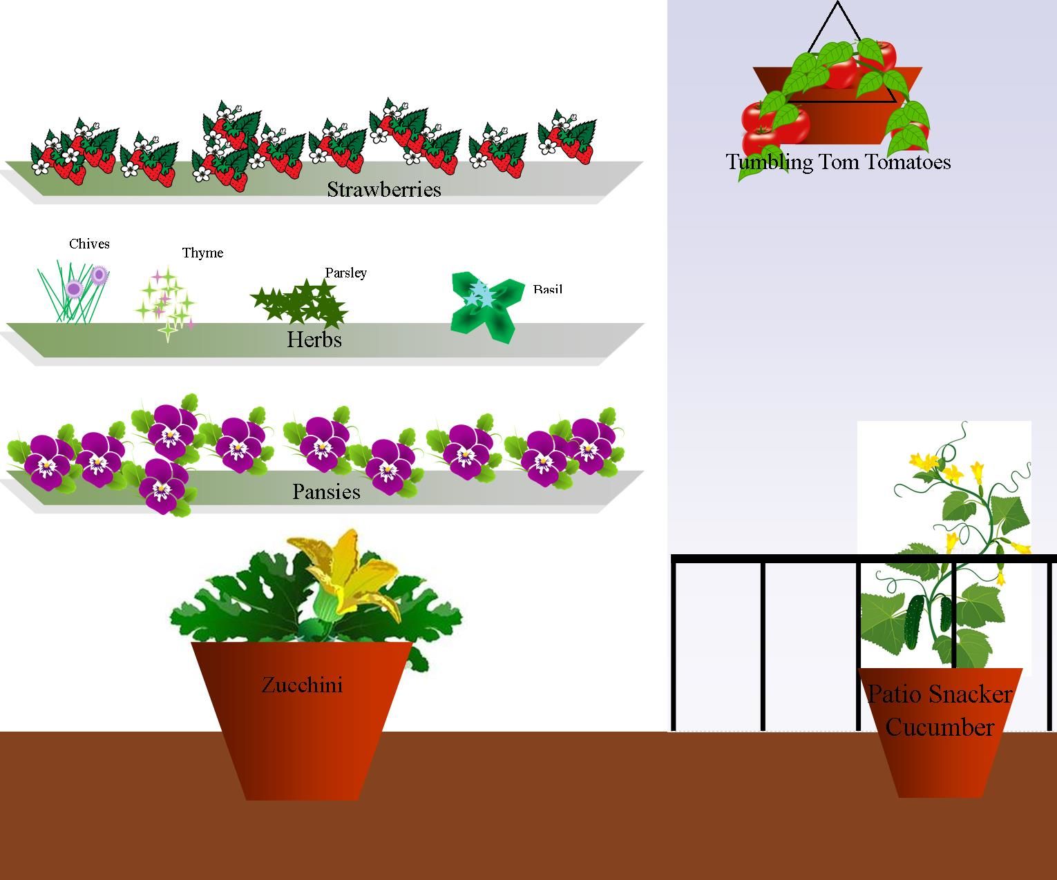 Beginning Food Gardening Lessons