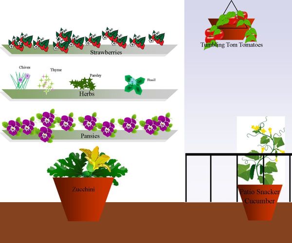 Beginning Food Gardening Lessons