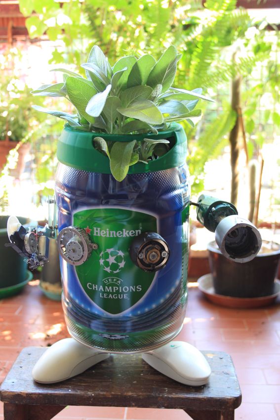 Keg-Veg ( a tribute to M.C. Langer )