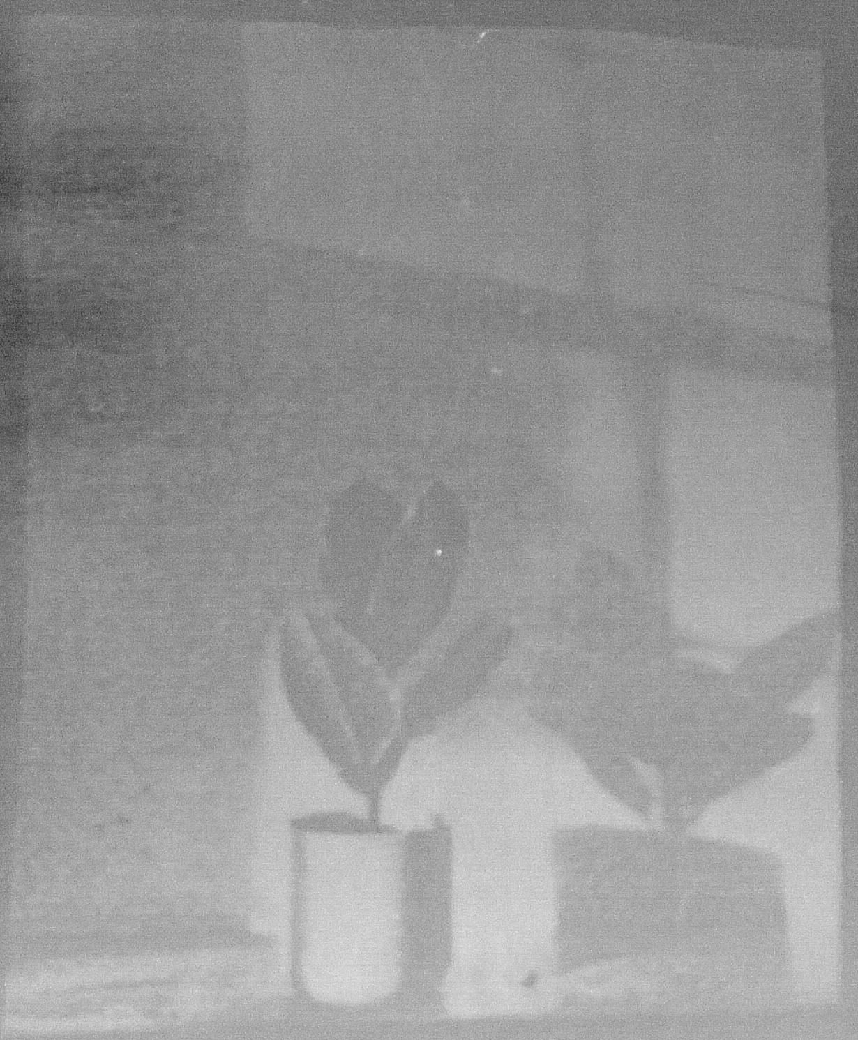 Cyanotype Photography Using a Box Camera 10 Steps (with Pictures