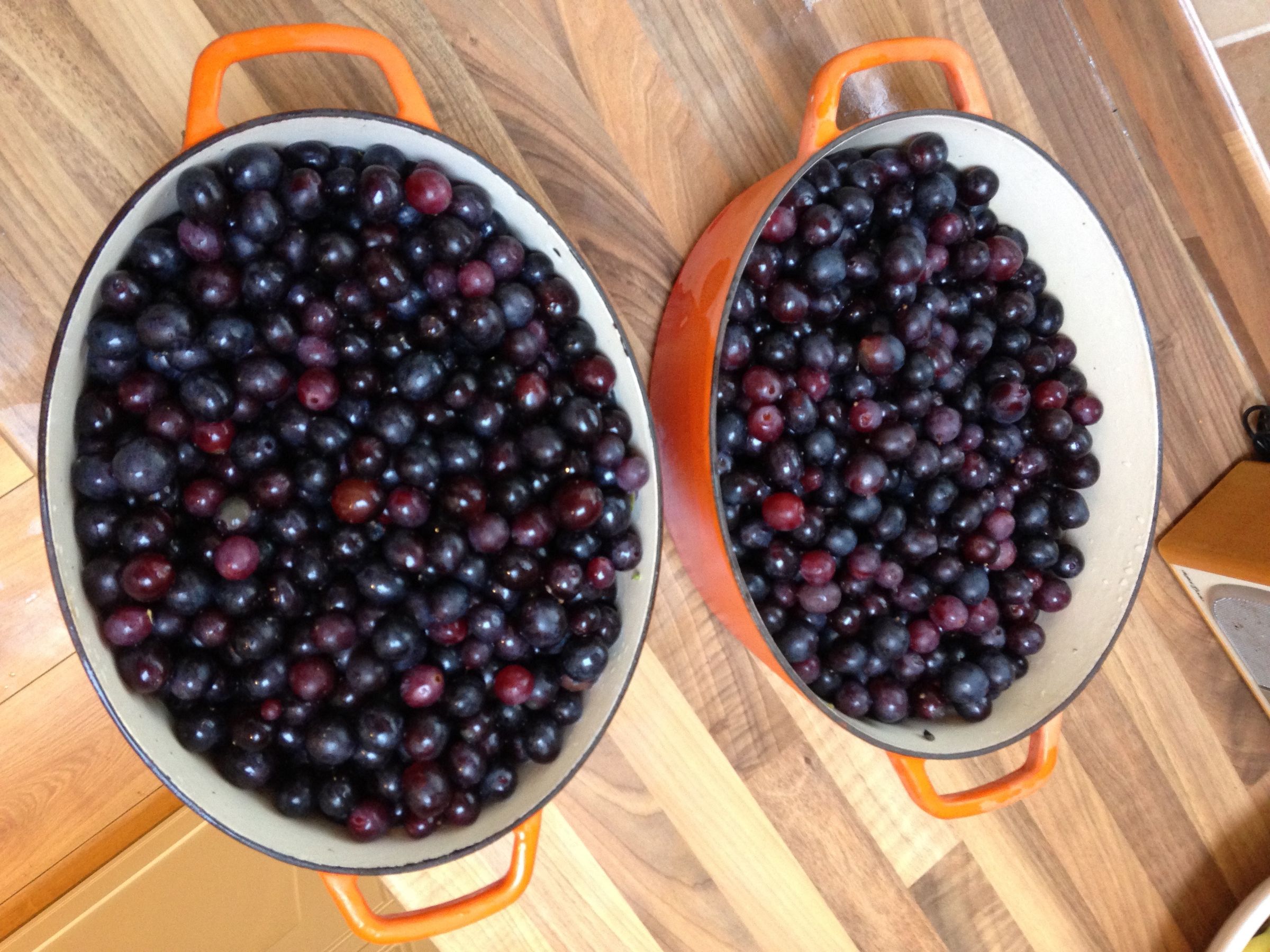 Delicious Organic Red Grape Jelly : 10 Steps (with Pictures ...