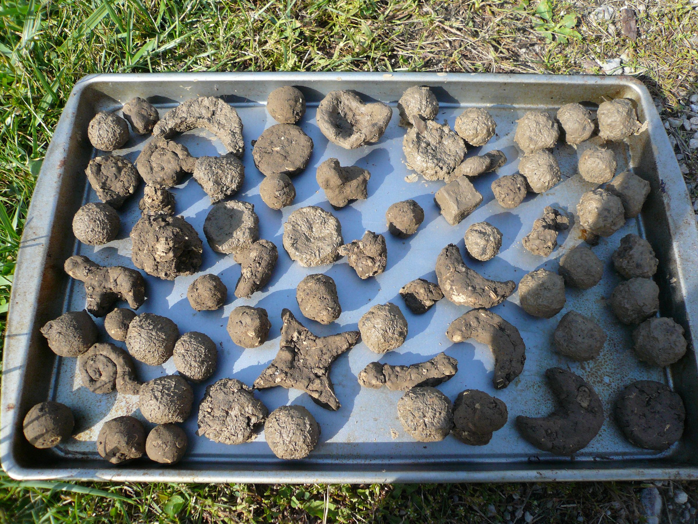 How to Make an Instant Garden Using Seed Balls