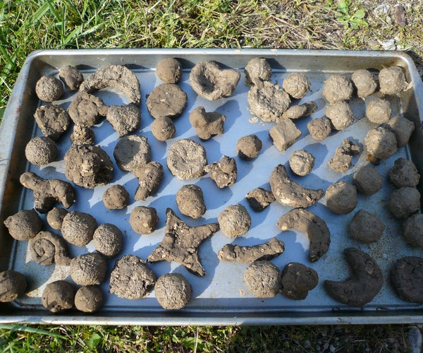 How to Make an Instant Garden Using Seed Balls