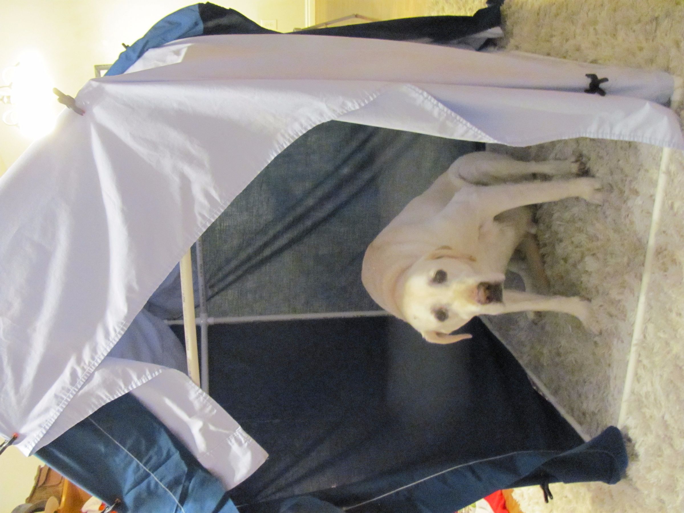 PVC Blanket Fort Kit 4 Steps (with Pictures) Instructables