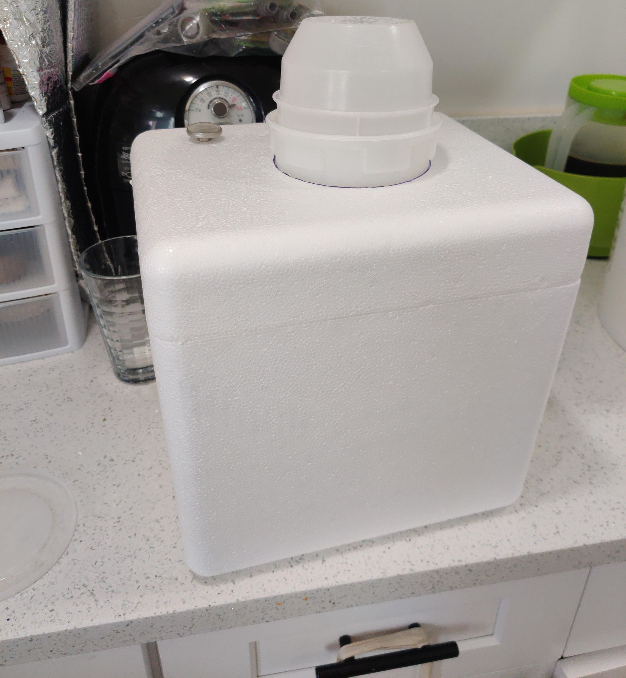 Sprouting in Hot Weather : 3 Steps - Instructables