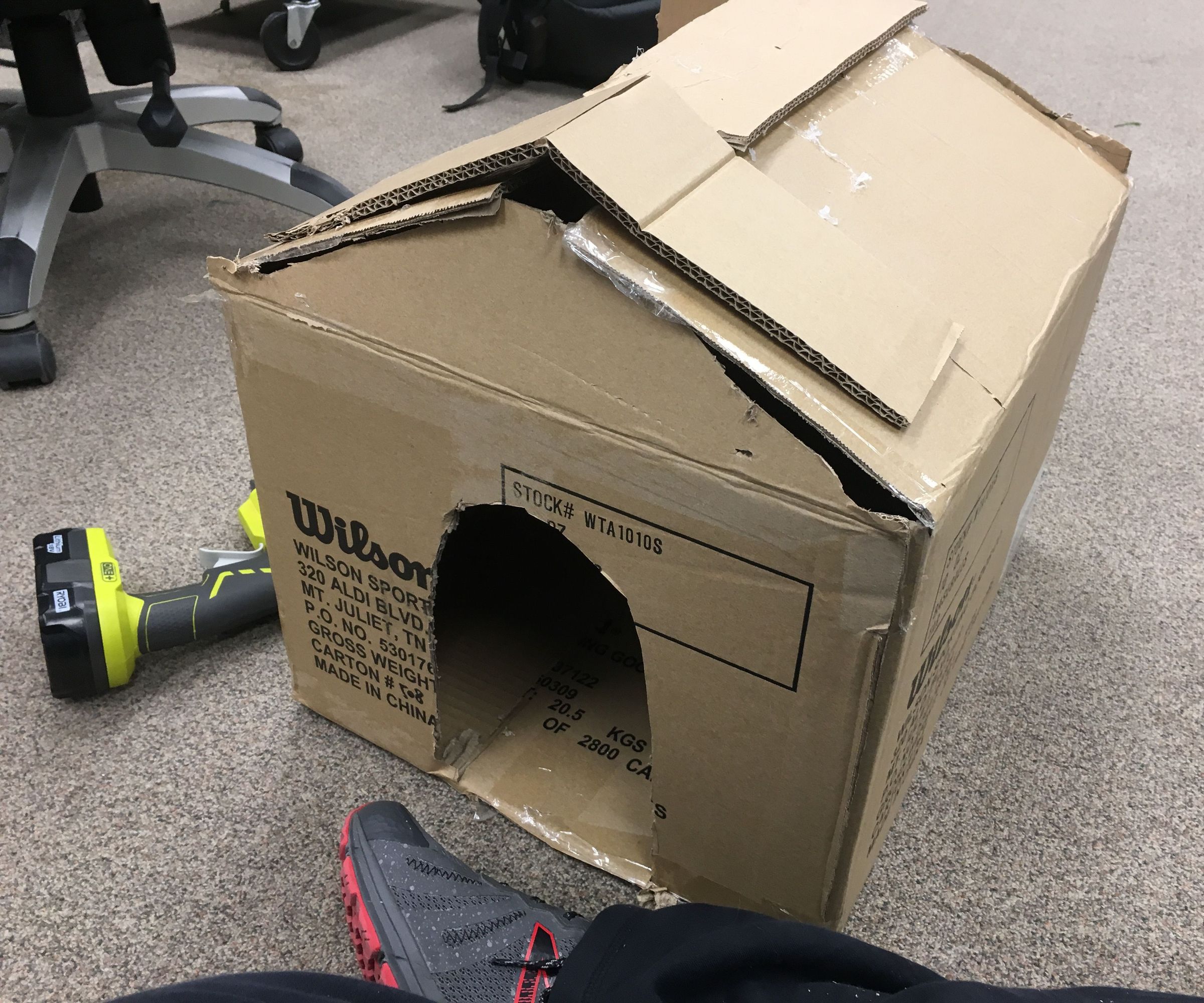 Cardboard Cat bedroom 
