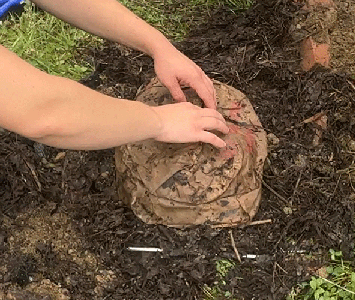 Paper Bag Pig in the Ground