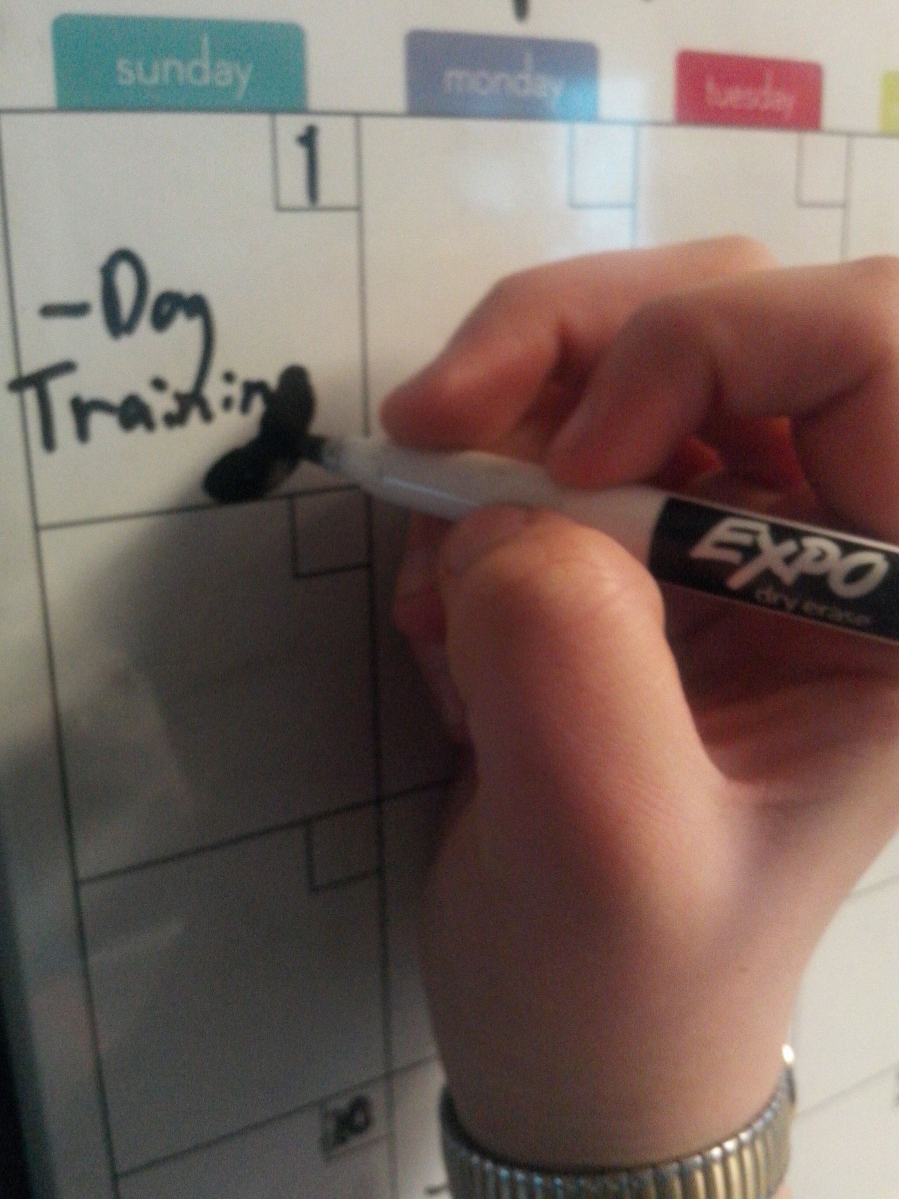 Oops! Erase Sharpie Marks on a White Board 4 Steps Instructables