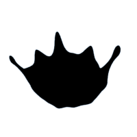 download {{ file.name }}