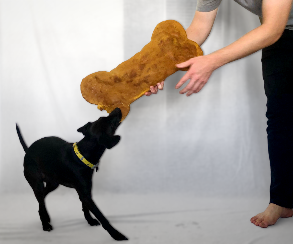 Massive Pumpkin Dog Treat Recipe (Bigger Than My Dog!)