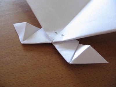 Video of CanardWing's Long Distance Flight...