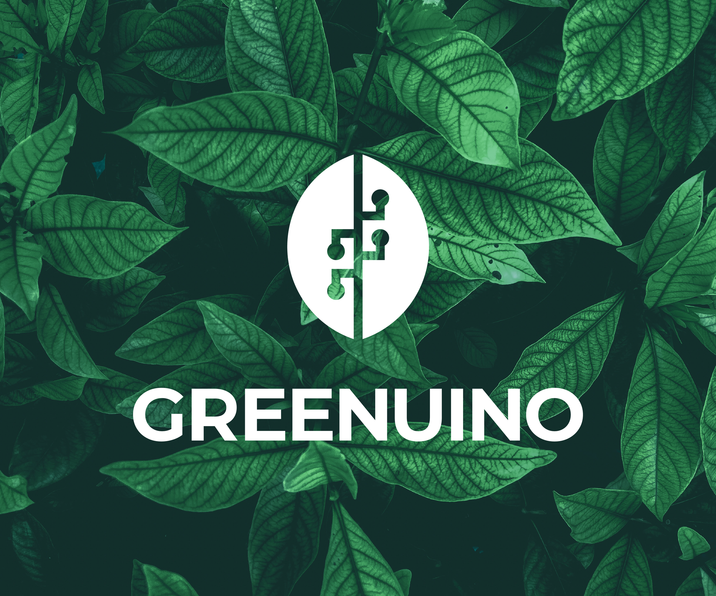 Greenuino - Smart Gardening Using Arduino and Blynk App