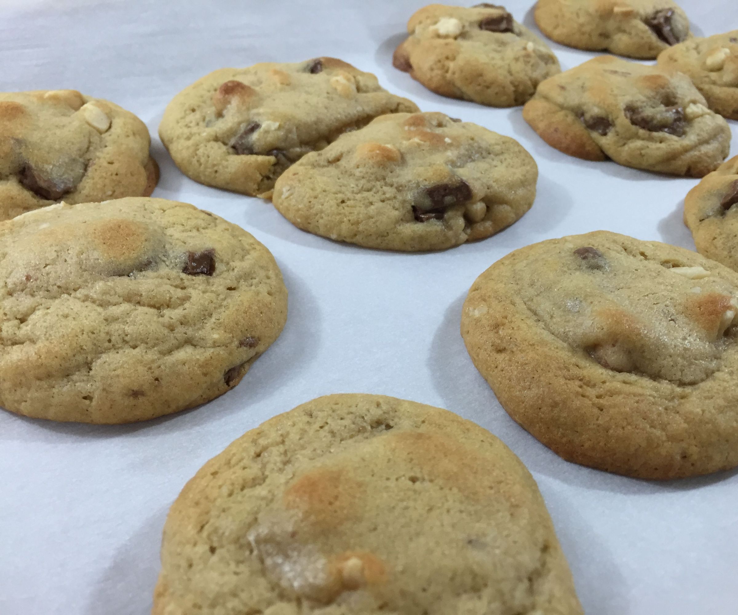 Professional Tasting Macadamia Cookies