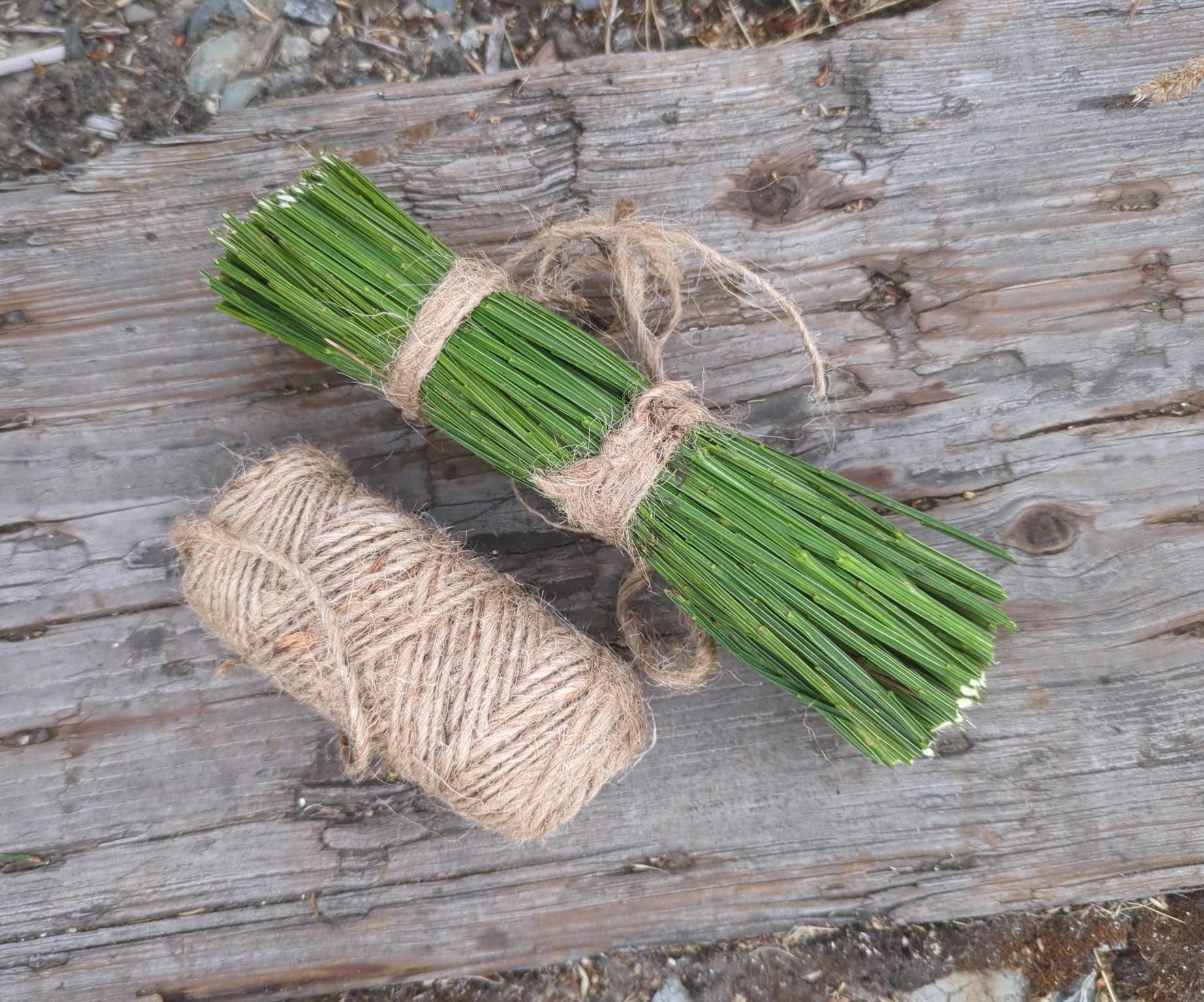 DIY Compostable Dish Scrubber From Invasive Scotch Broom (Great for Cast Iron)