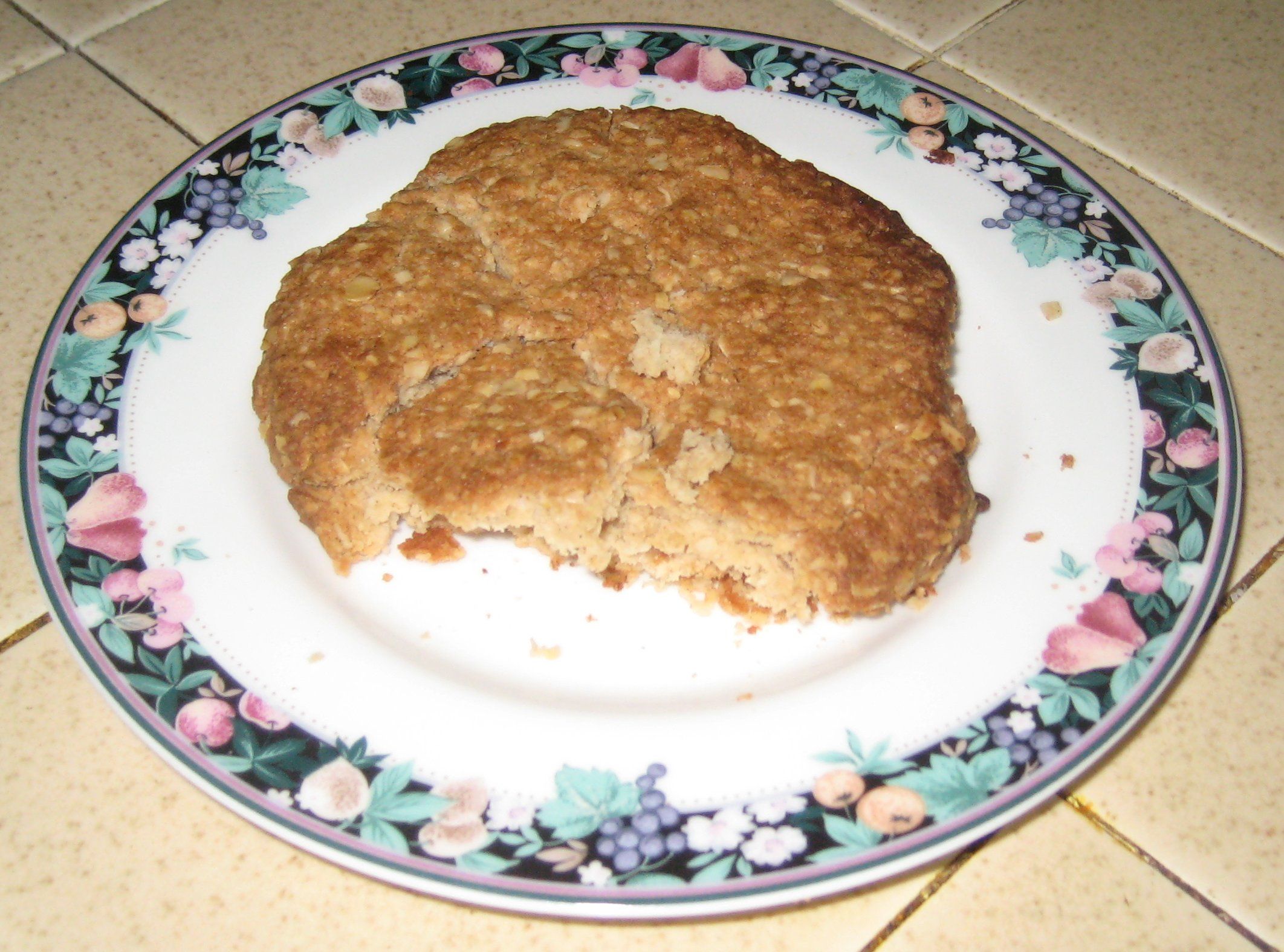 Bachelor Chow - 1 Oatmeal Cookie - Just One!