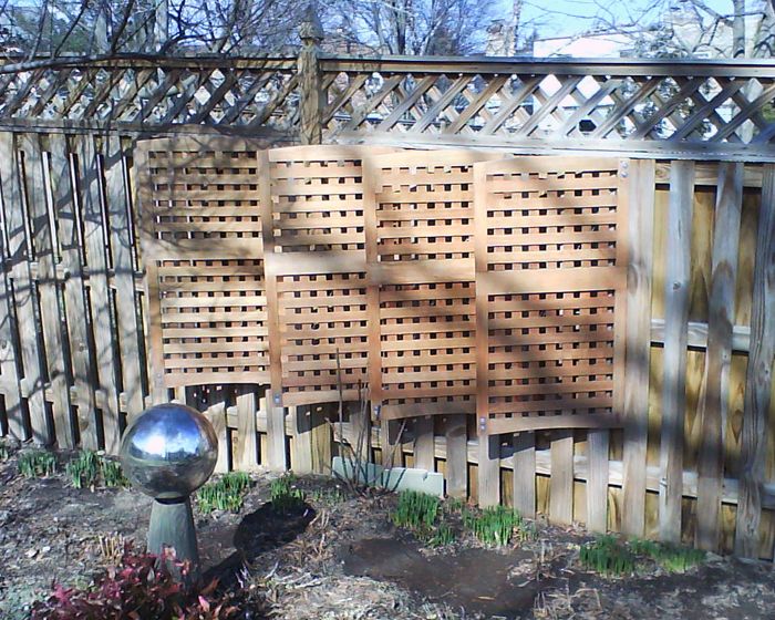Floating Flower Frames (rose Trellis)