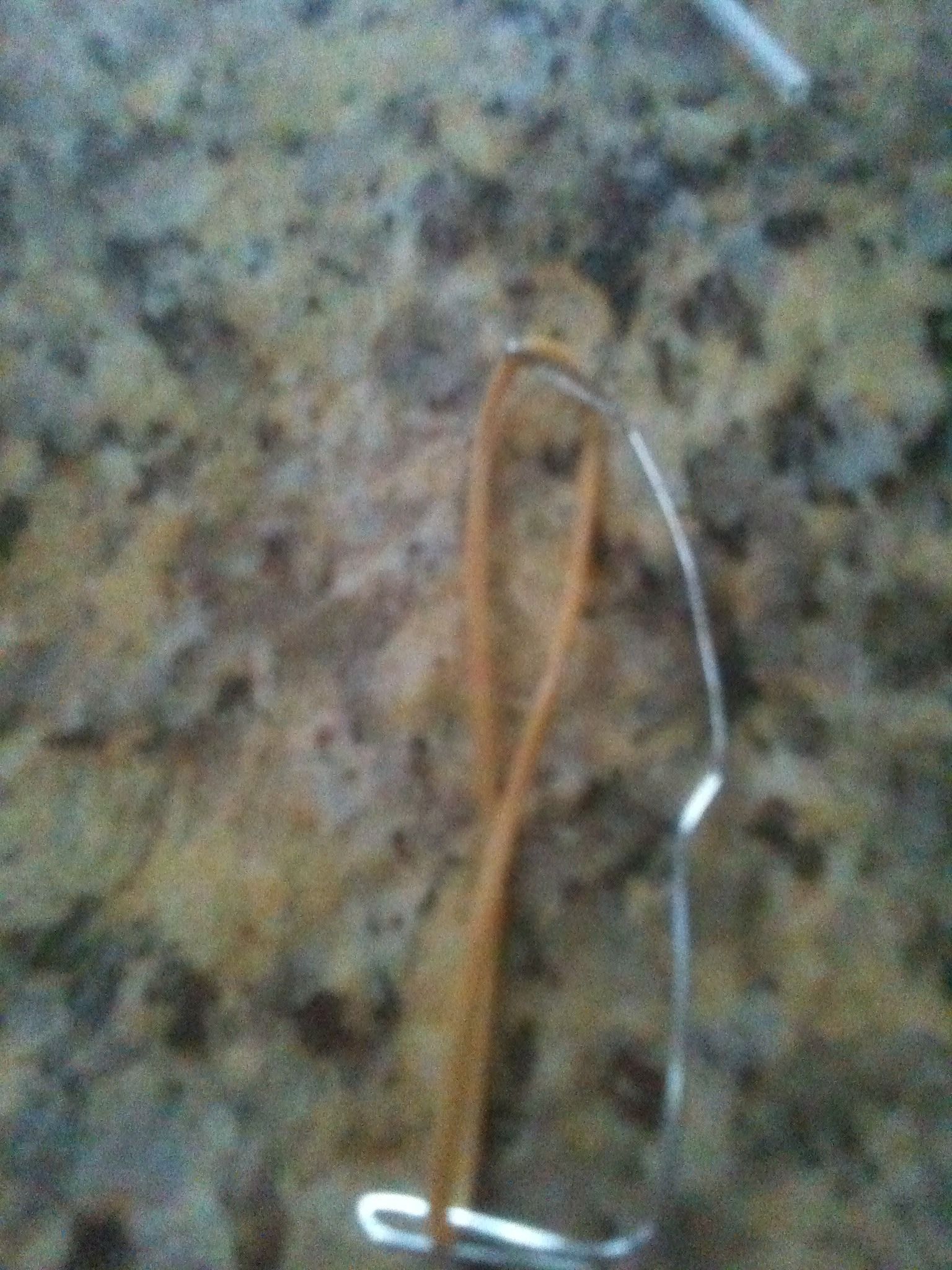 Pocket Sized Bow and Arrow
