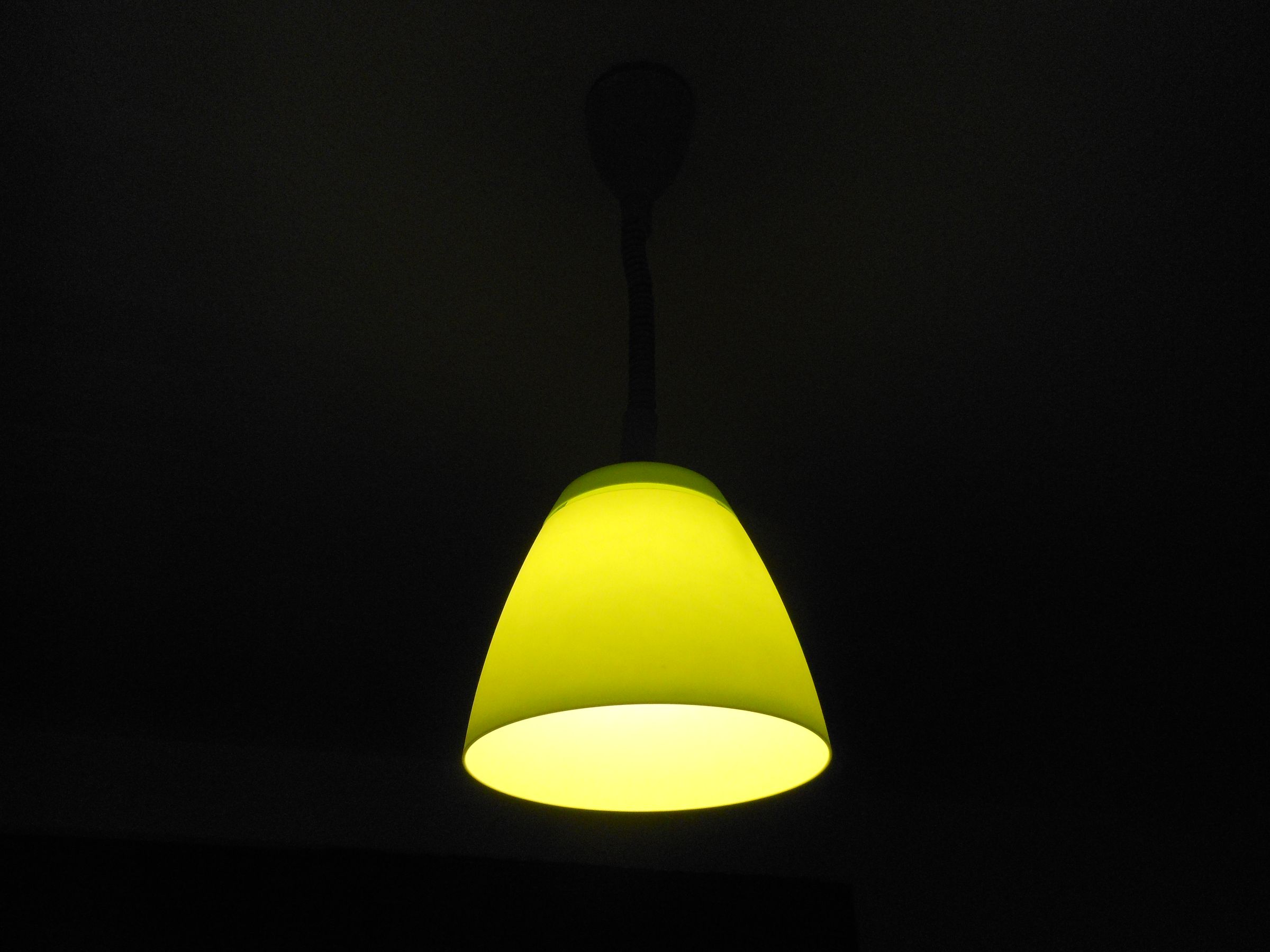 Hanging light - green flower pot