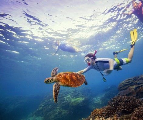 Choose Your Perfect Spot for Scuba Diving