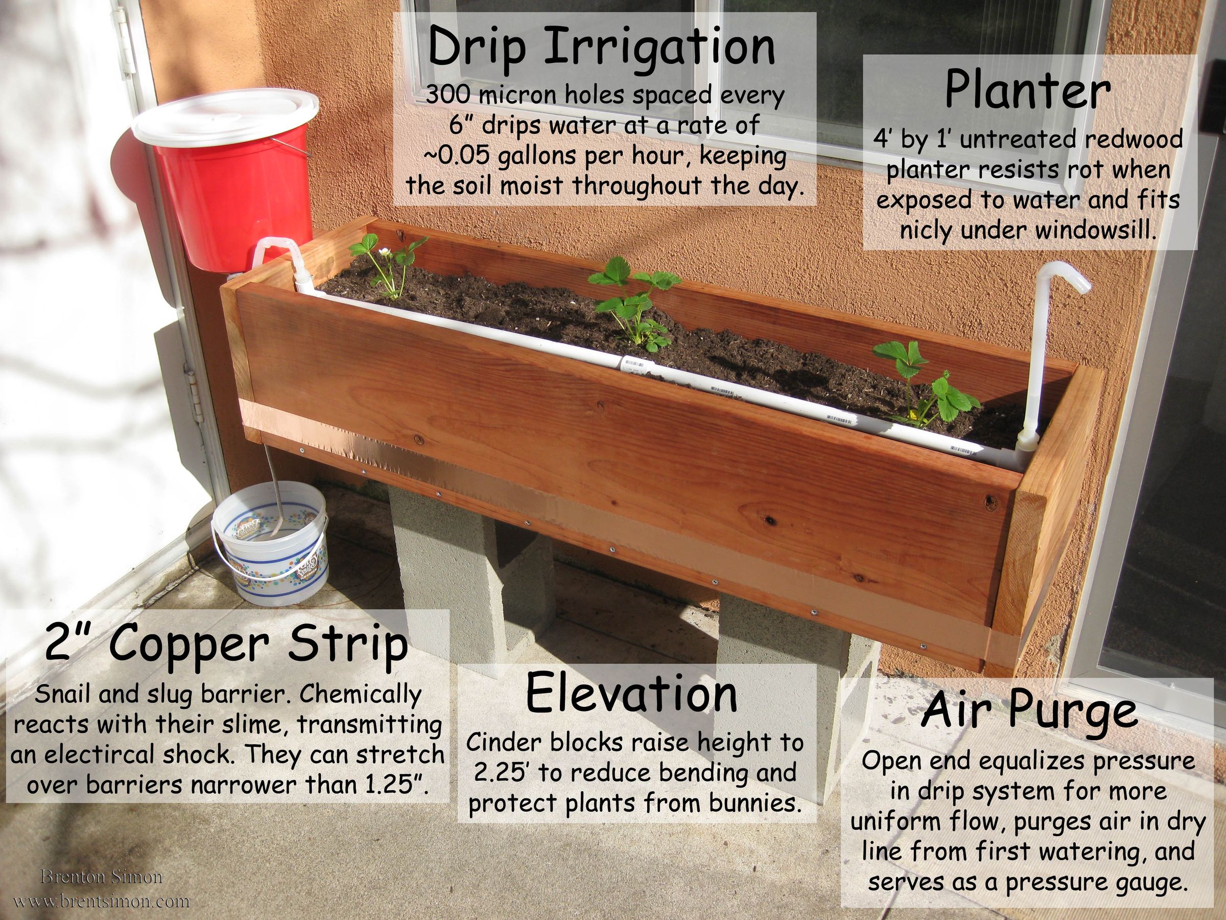 Passive Gravity Irrigated Planter