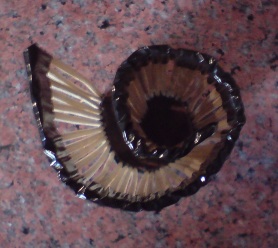 Emergency sushi rolling mat.