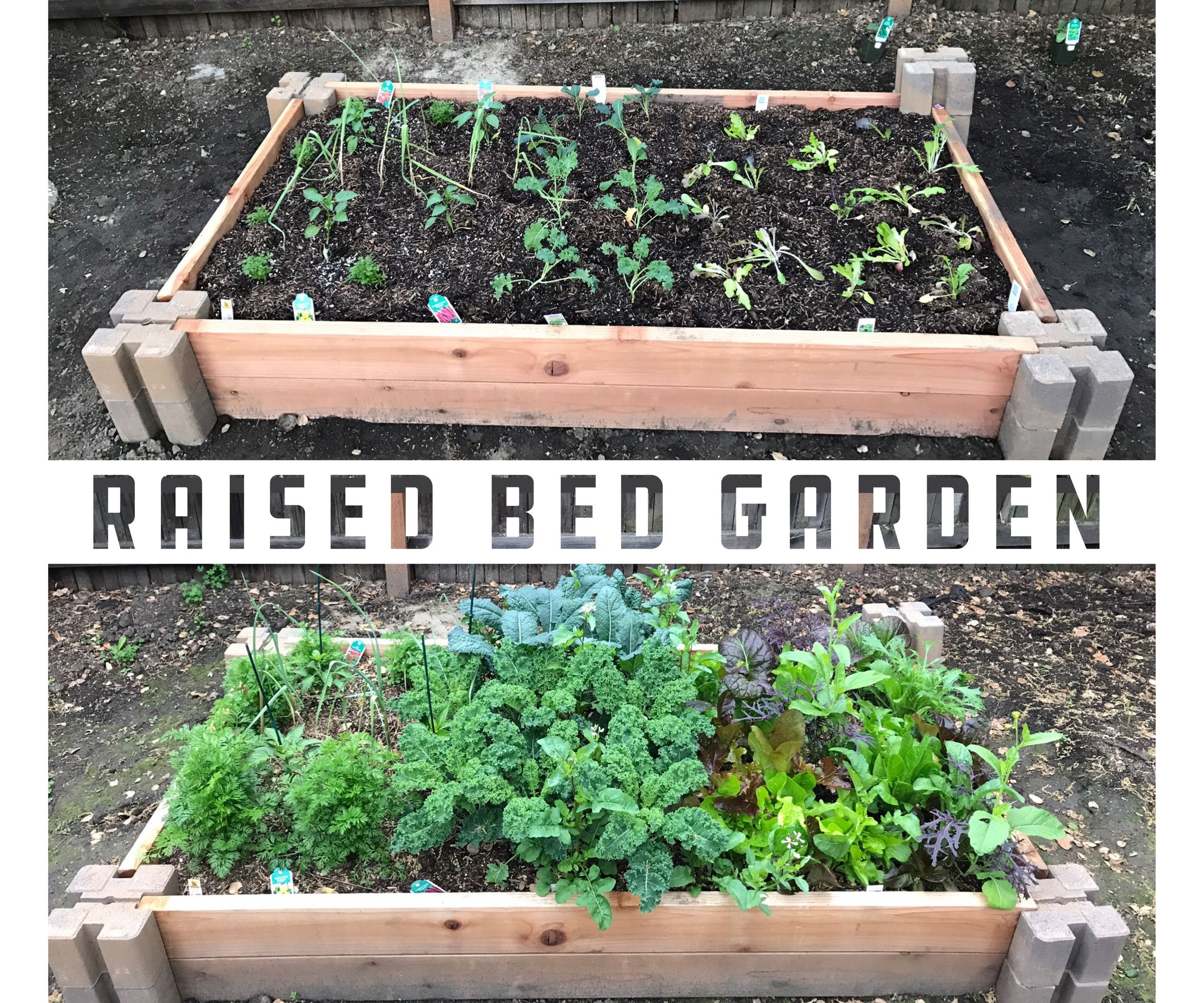 Raised Bed Garden [for Those With Only Hand Tools!]