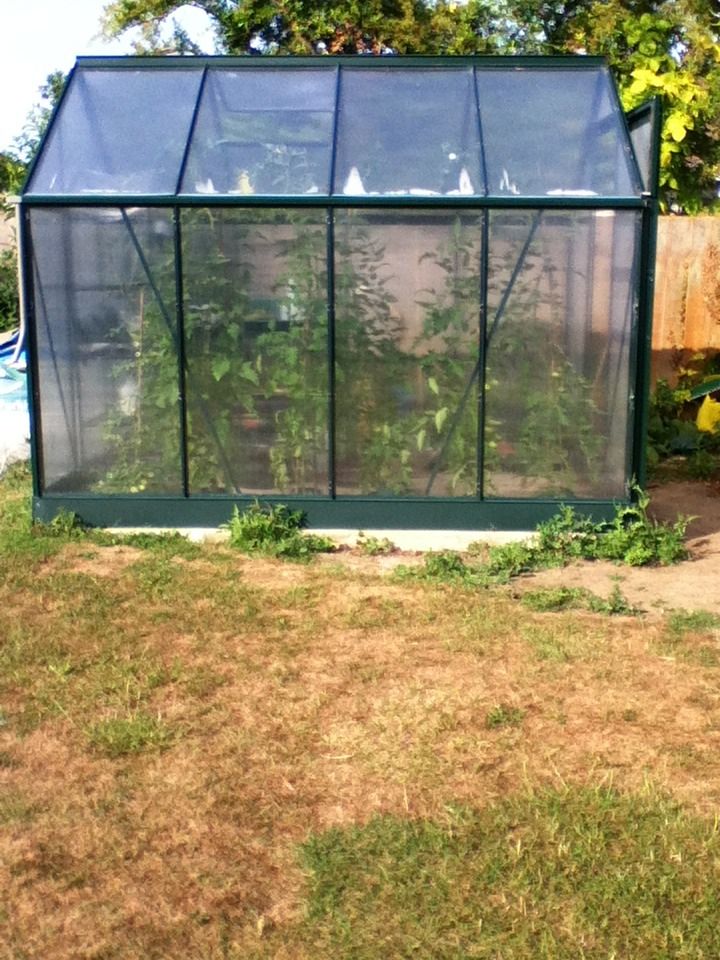 Young Gardener of the Year 2012