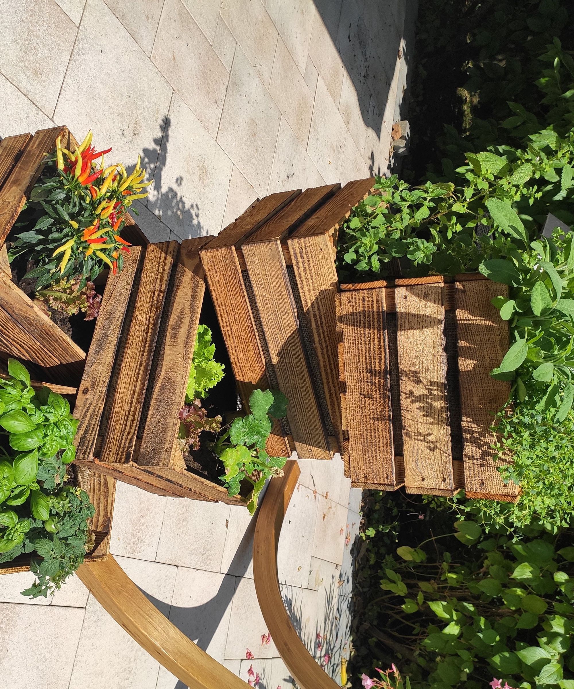 Mobile Vertical Raised Garden Bed Using Old Cases of Wine