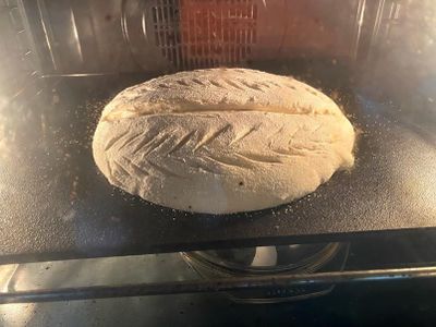 Bake