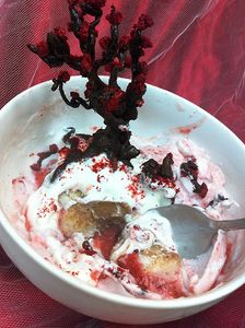 Chocolate Raspberry Tree