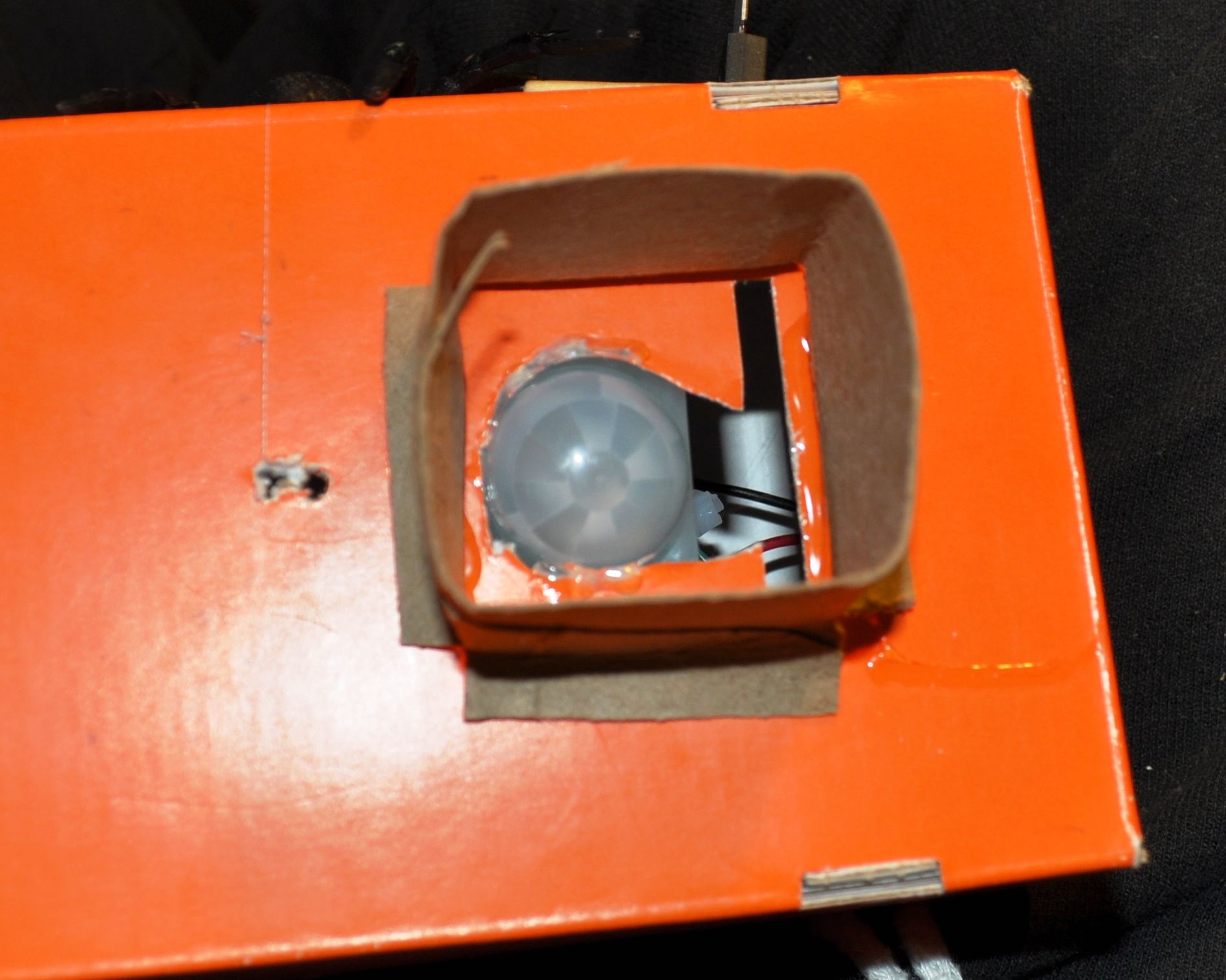 Motion Activated Dropping Spider, Low Cost, No Programming 10 Steps