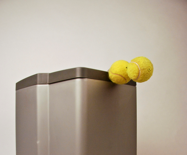 The Pawbin - a Dog Friendly Trashcan