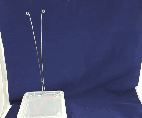 Quick and Easy Jacobs Ladder