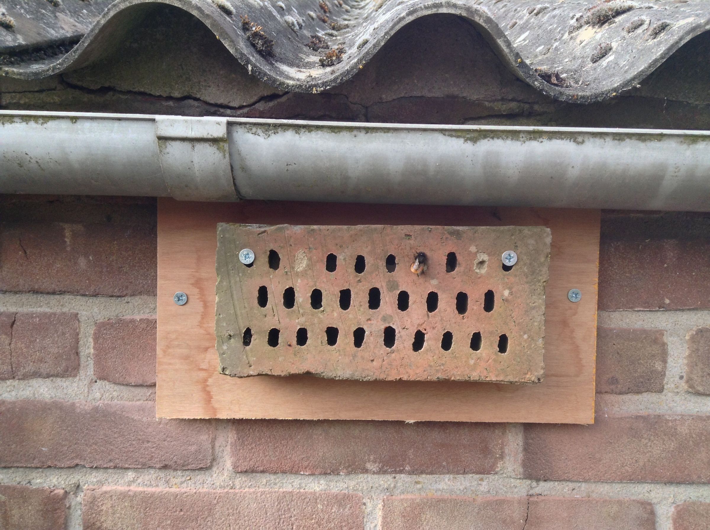 Build a Brick Bee Hotel.