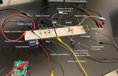 Testing With a Real Heartbeat 