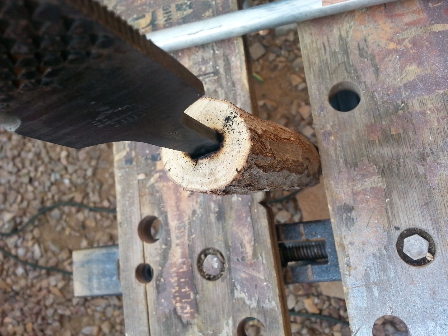 Rasp and Pepper Tree Knife : 6 Steps (with Pictures) - Instructables