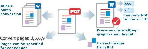 How to Copy PDF to Word