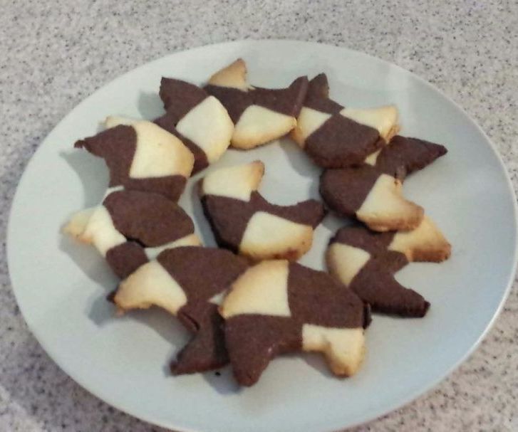 How to Make a Cookie Cutter and Cat Shaped Checkerboard Cookies